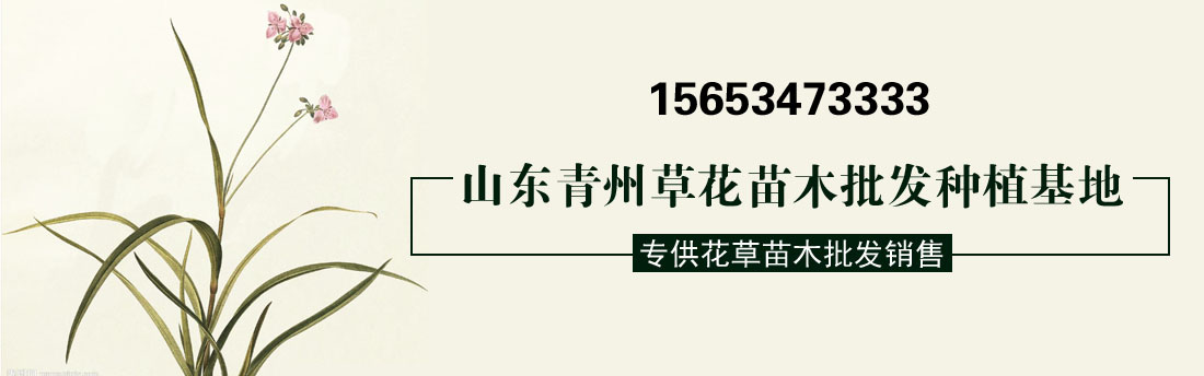 石英砂生產(chǎn)線